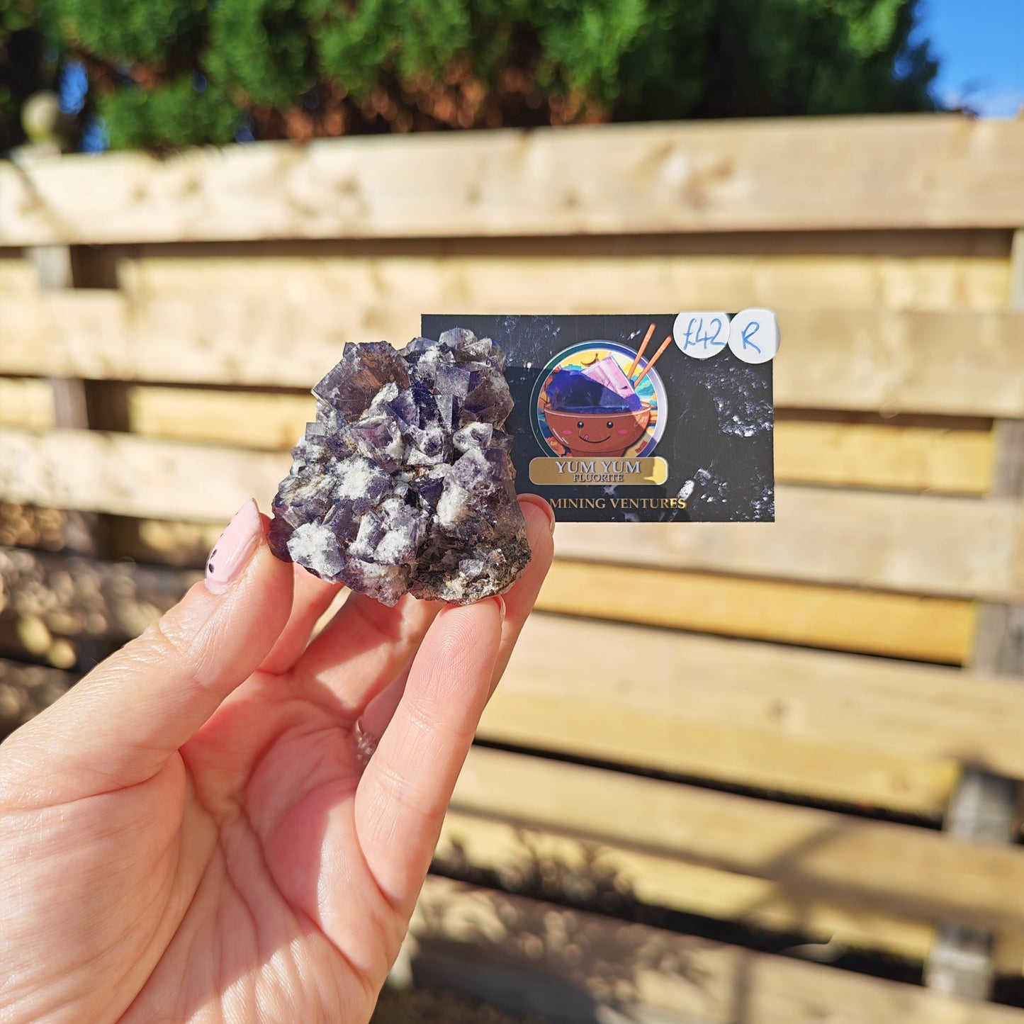 Yum Yum Fluorite Option R
