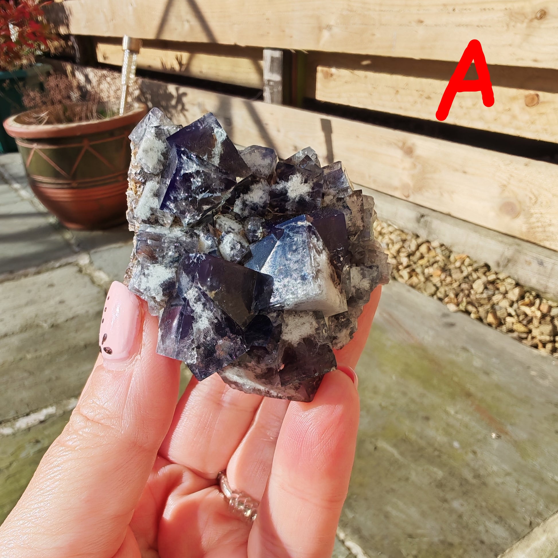 Yum Yum Pocket UK Fluorite with Purple UV Cubes