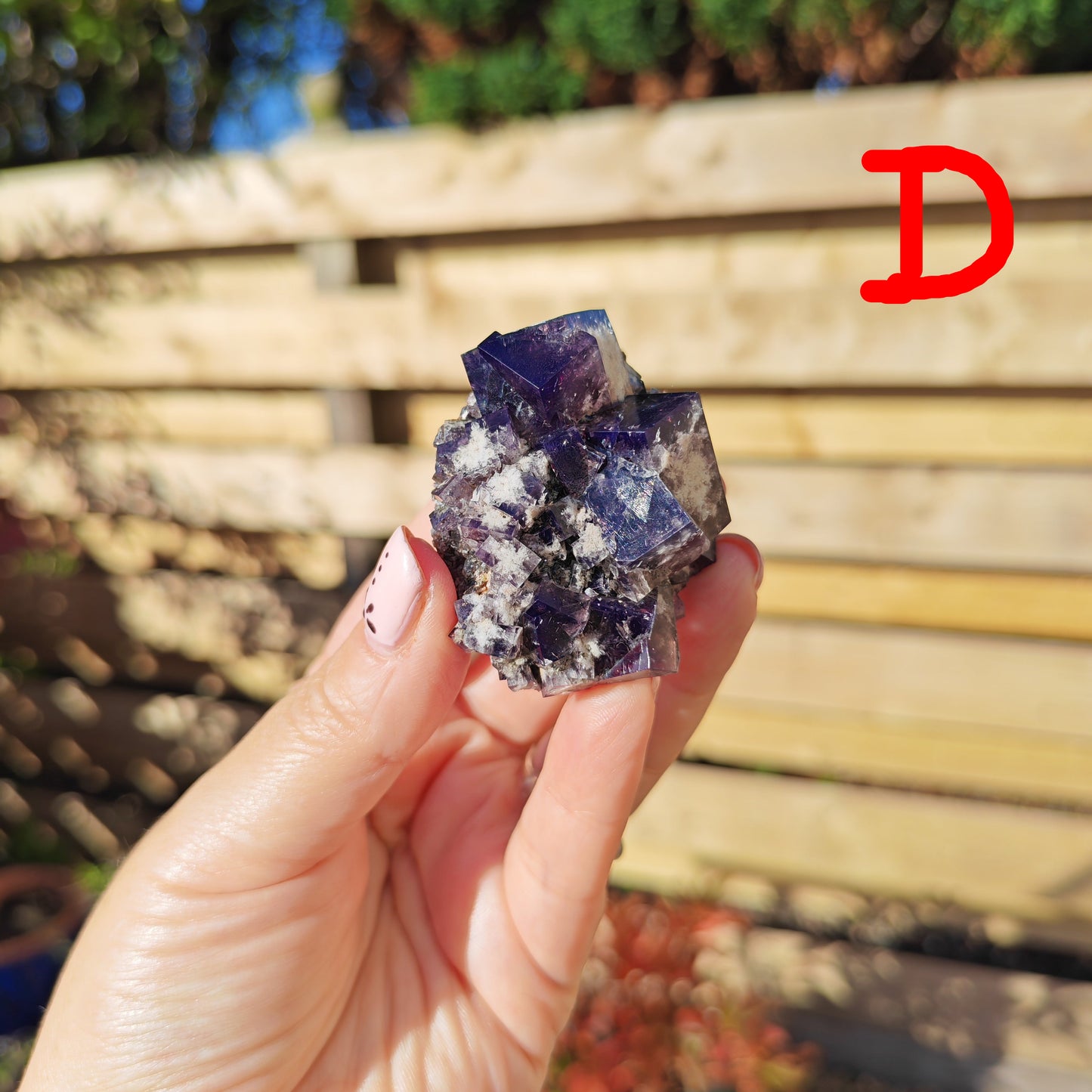 Yum Yum Pocket Fluorite Option D