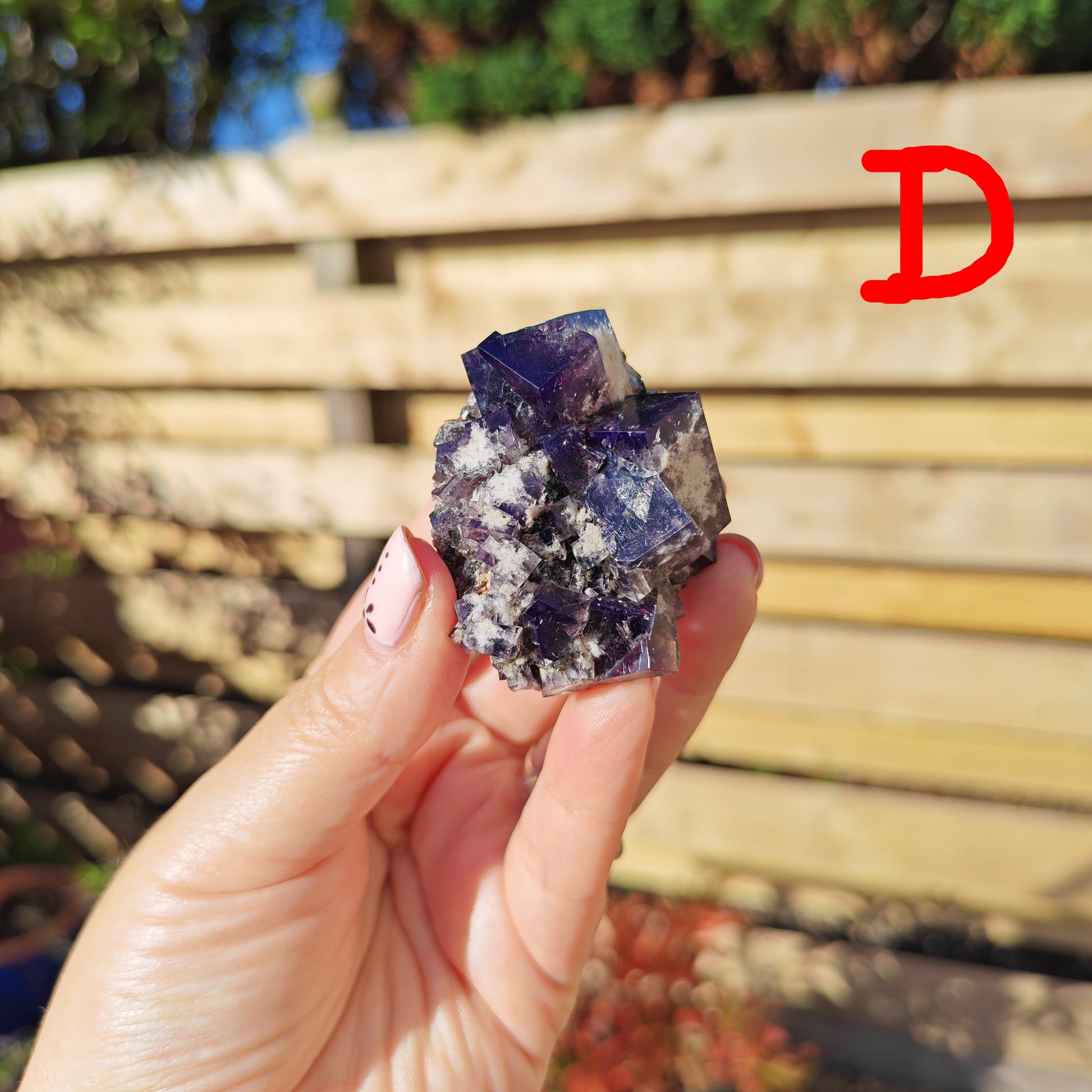 Yum Yum Pocket Fluorite Option D