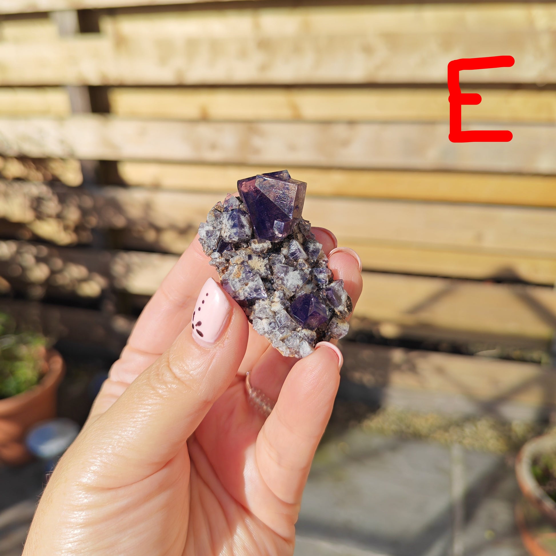 Yum Yum Pocket Fluorite Option E