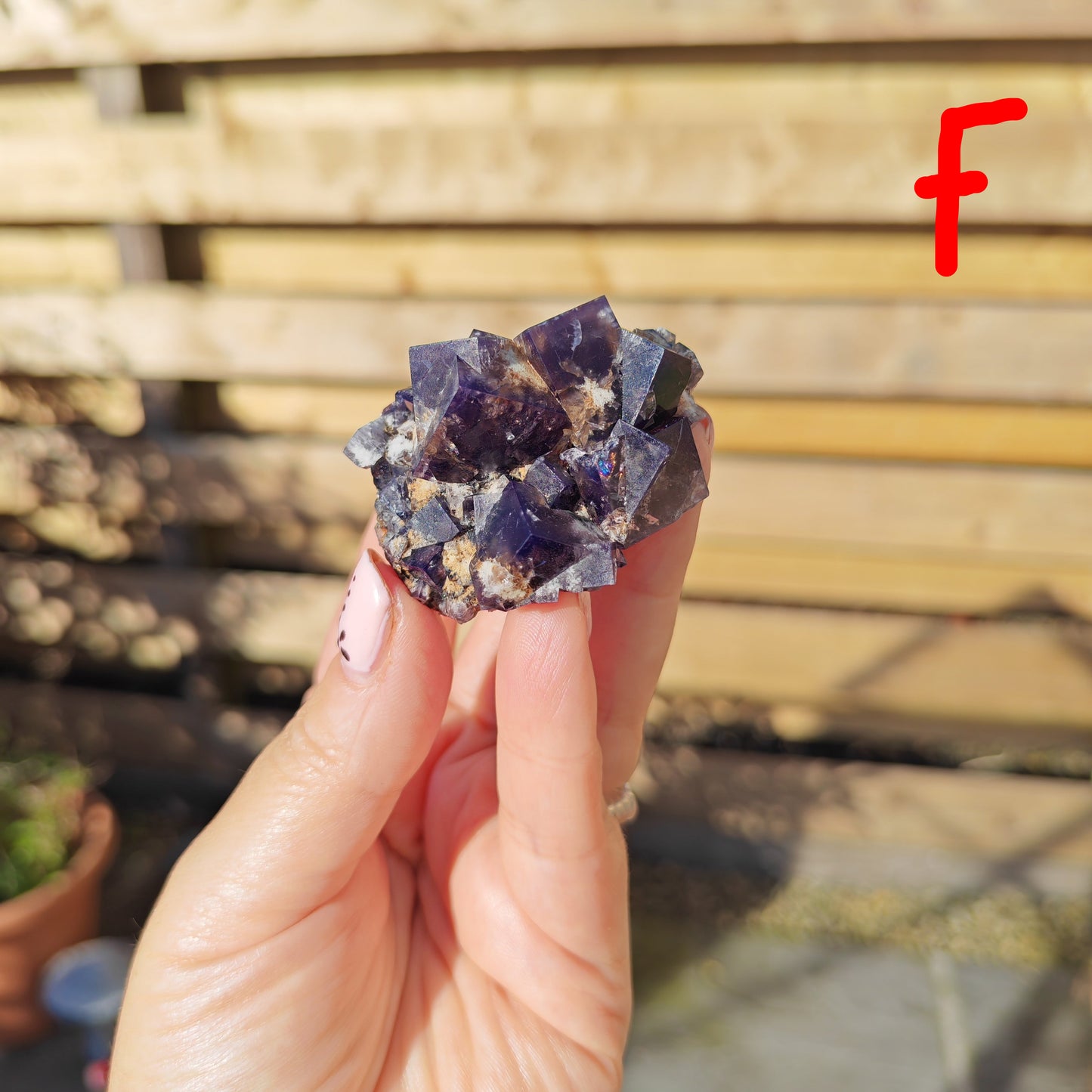 Yum Yum Pocket Fluorite Option F