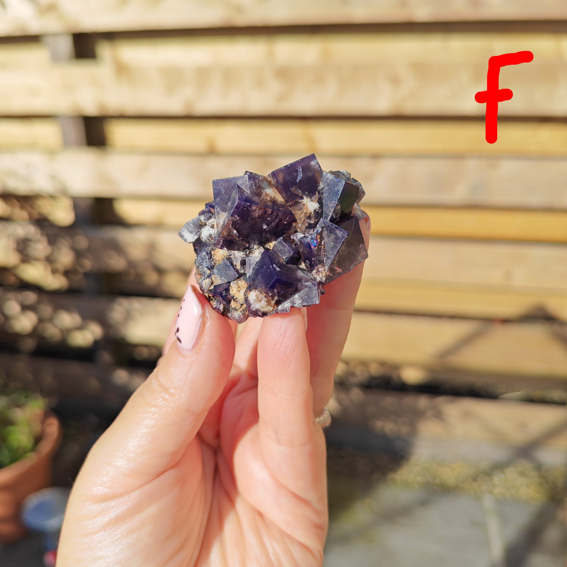 Yum Yum Pocket Fluorite Option F