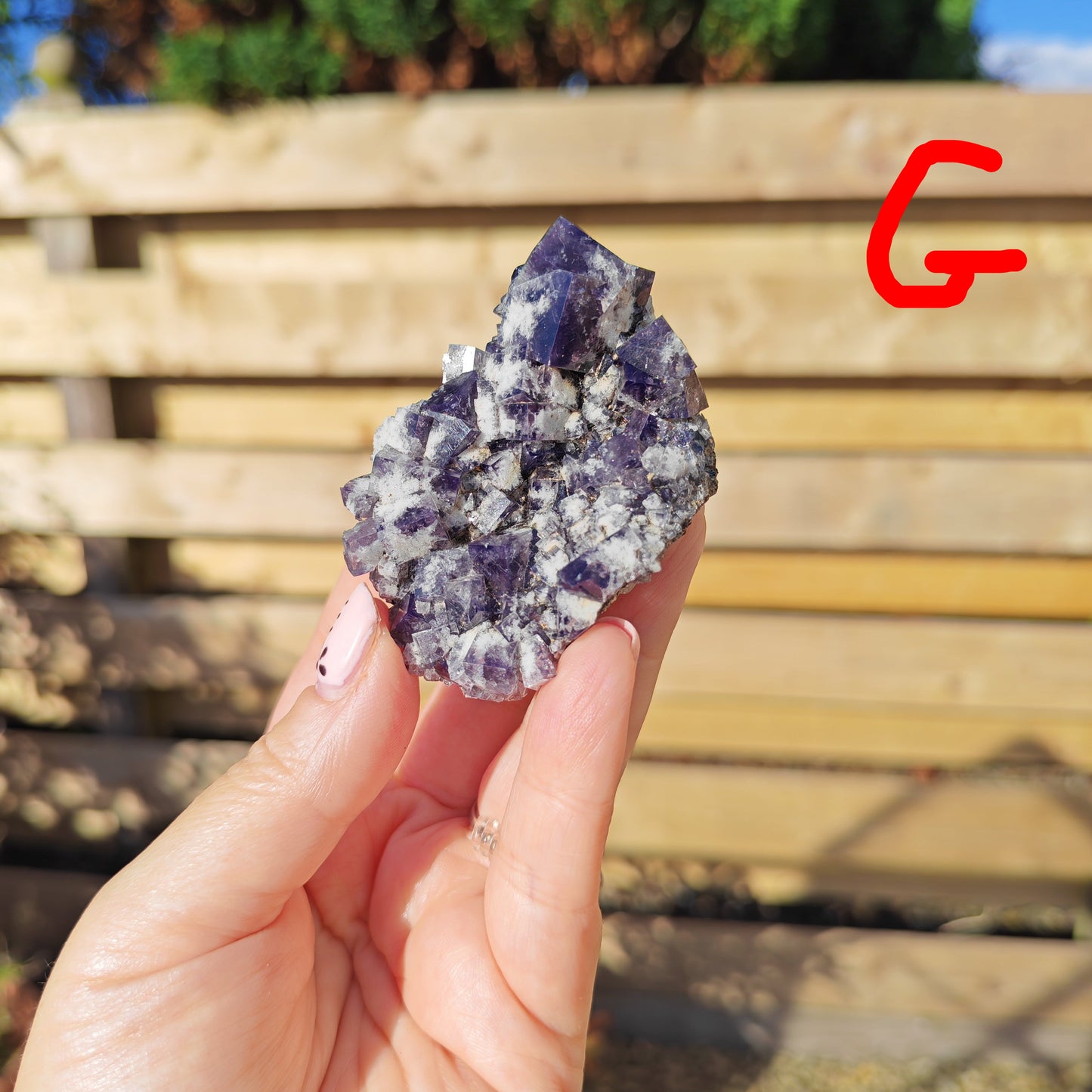Yum Yum Pocket Fluorite Option G