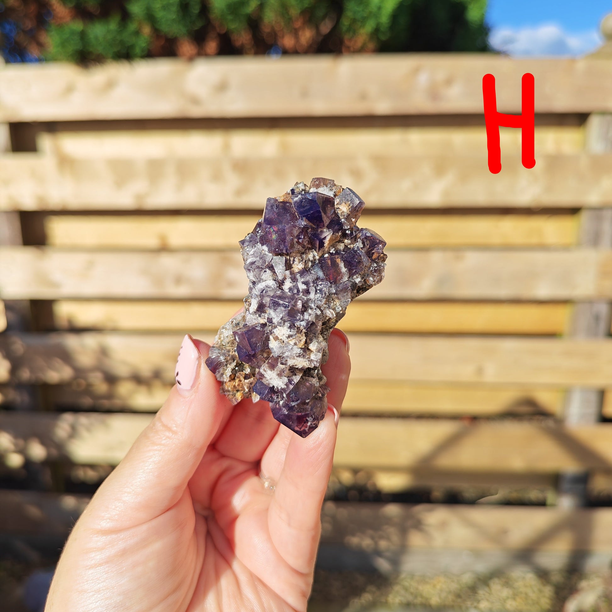 Yum Yum Pocket Fluorite Option H