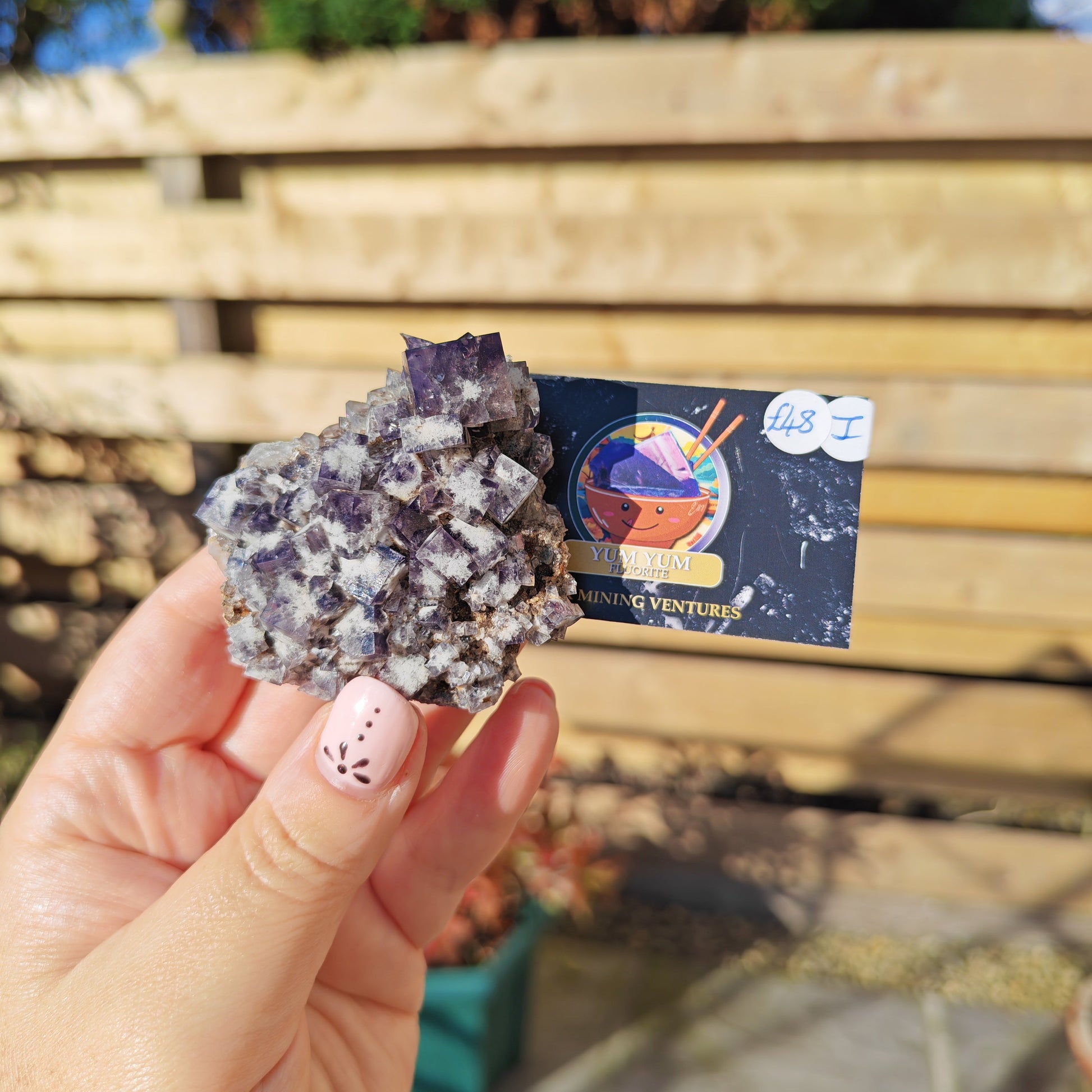 Yum Yum Pocket Fluorite Option I
