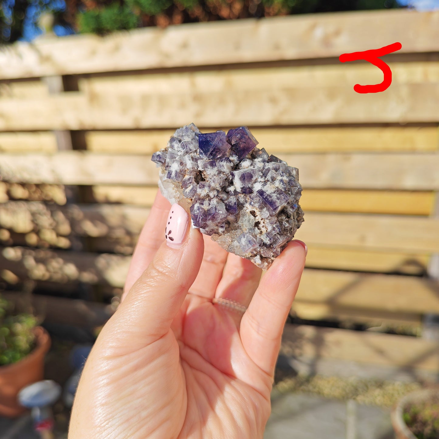 Yum Yum Pocket Fluorite Option J