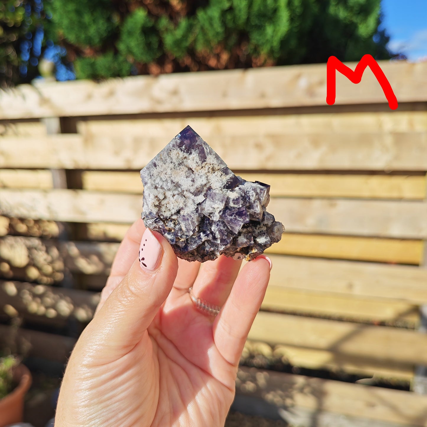 Yum Yum Pocket Fluorite Option M