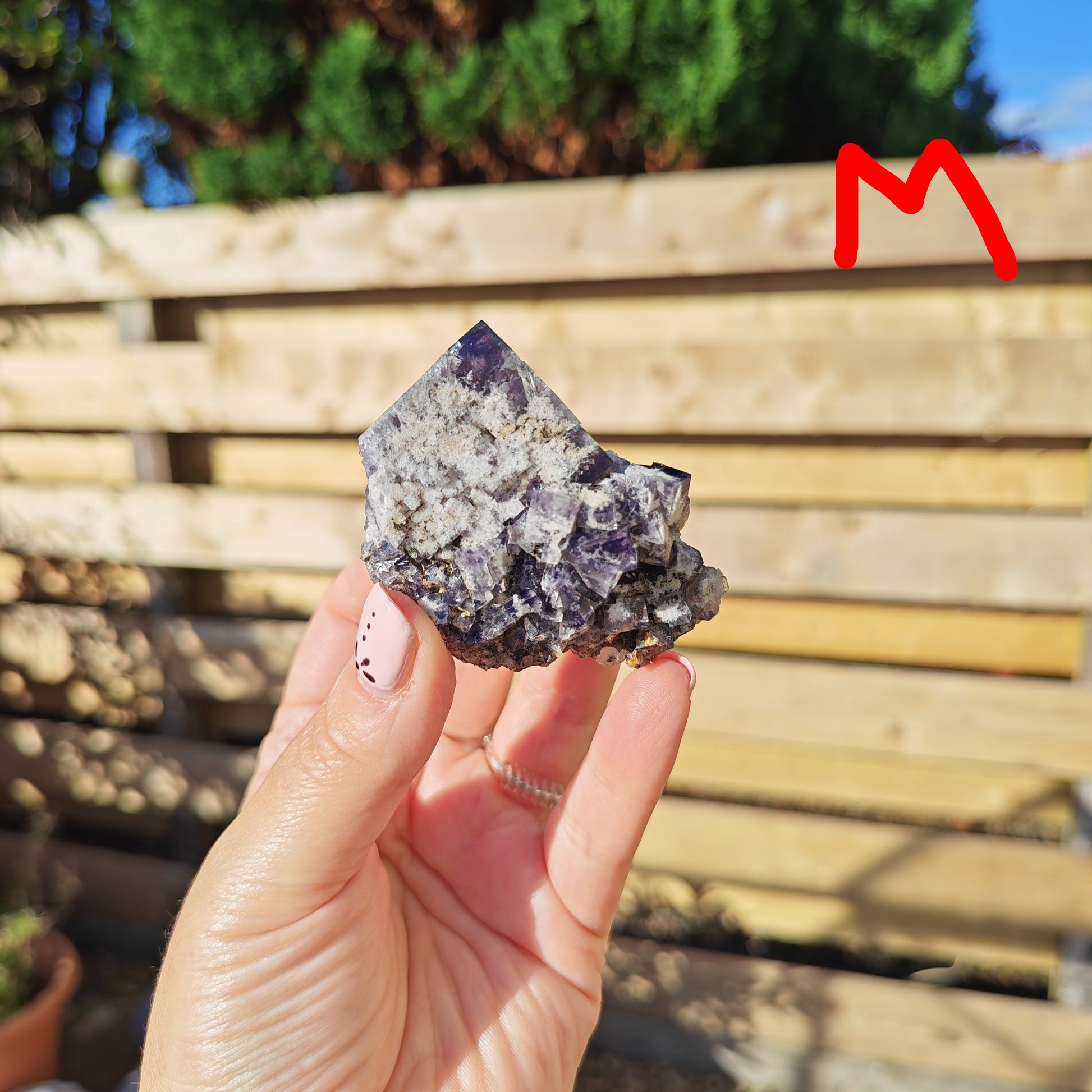 Yum Yum Pocket Fluorite Option M