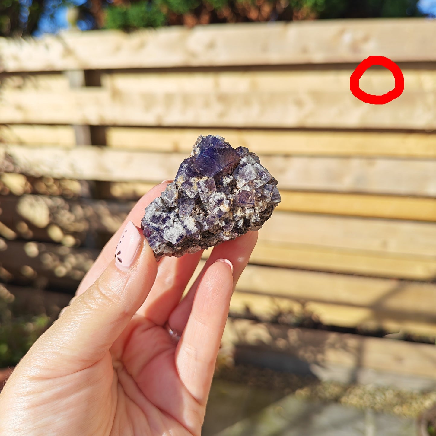 Yum Yum Pocket Fluorite Option O