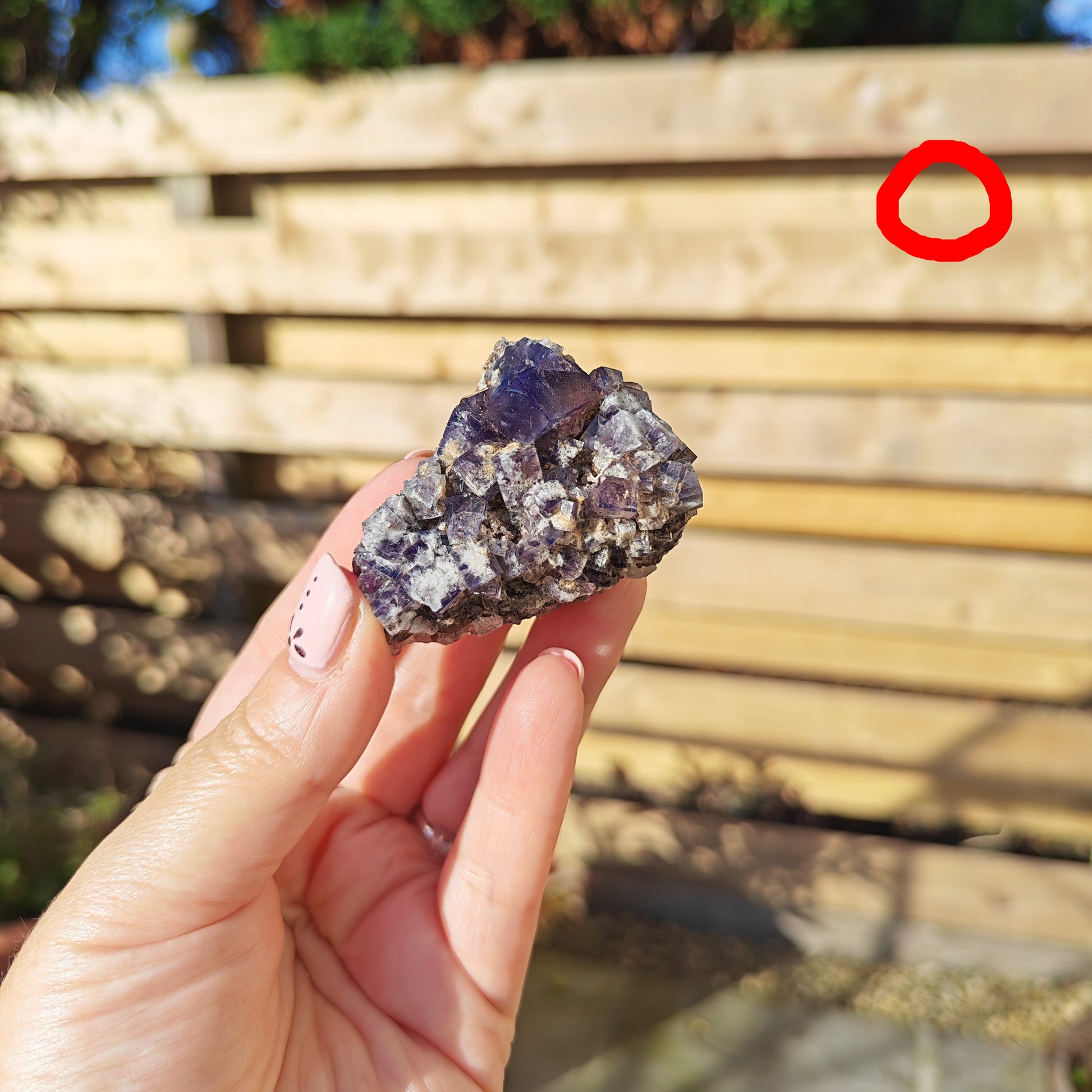 Yum Yum Pocket Fluorite Option O