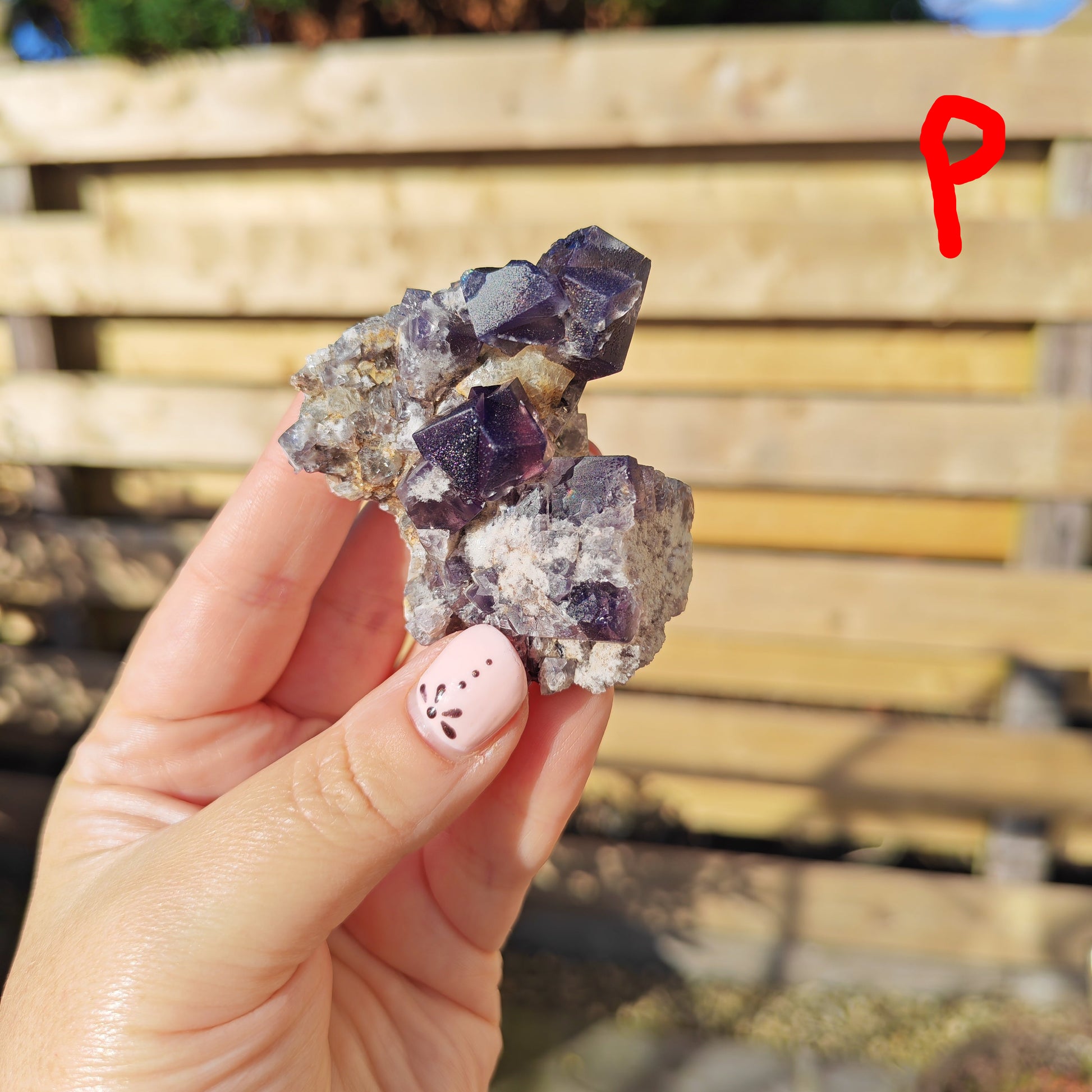 Yum Yum Pocket Fluorite Option P