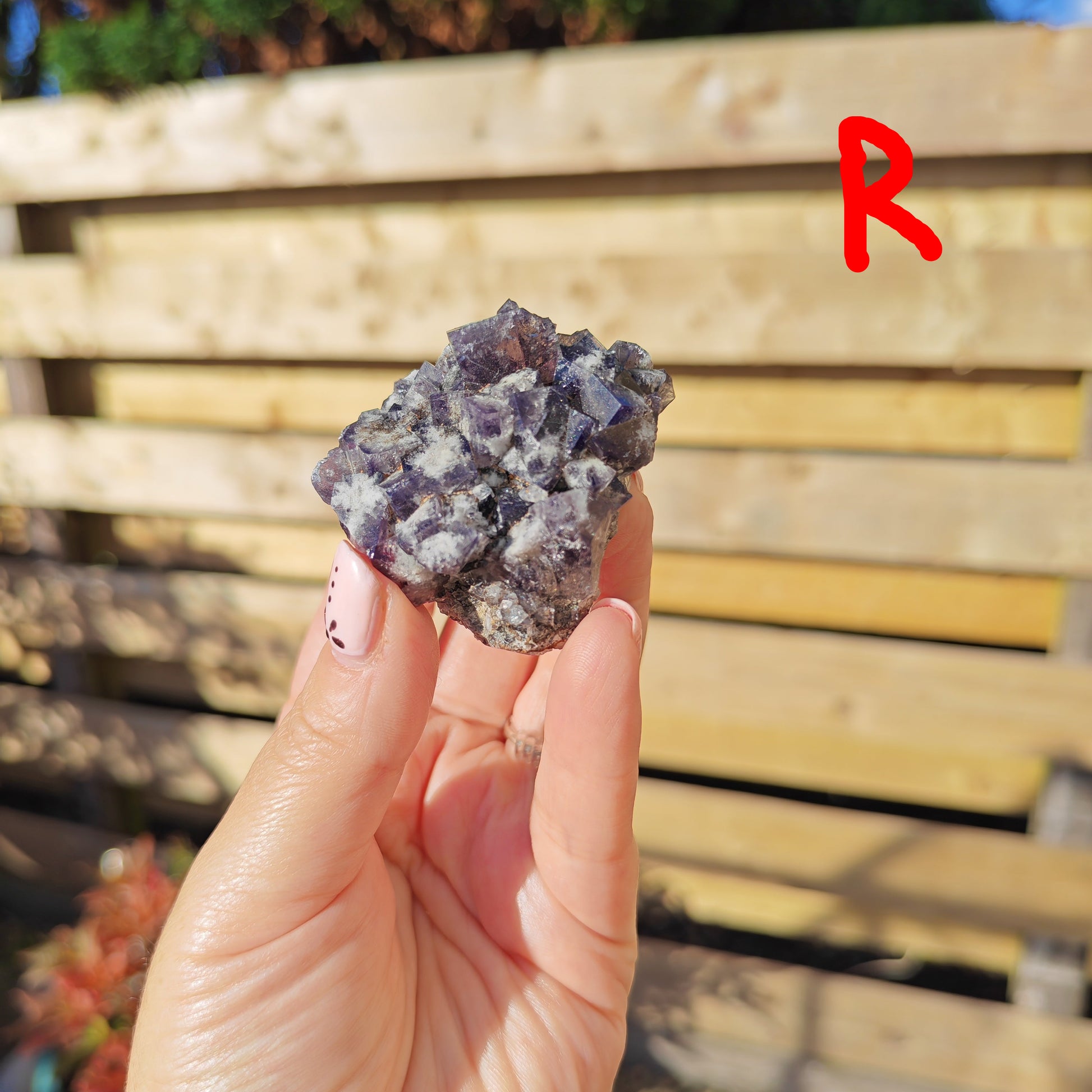 Yum Yum Pocket Fluorite Option R