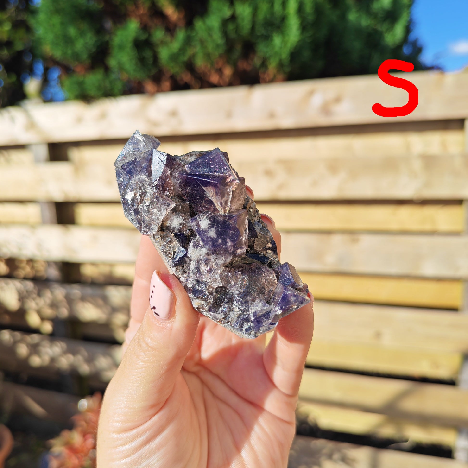 Yum Yum Pocket Fluorite Option S