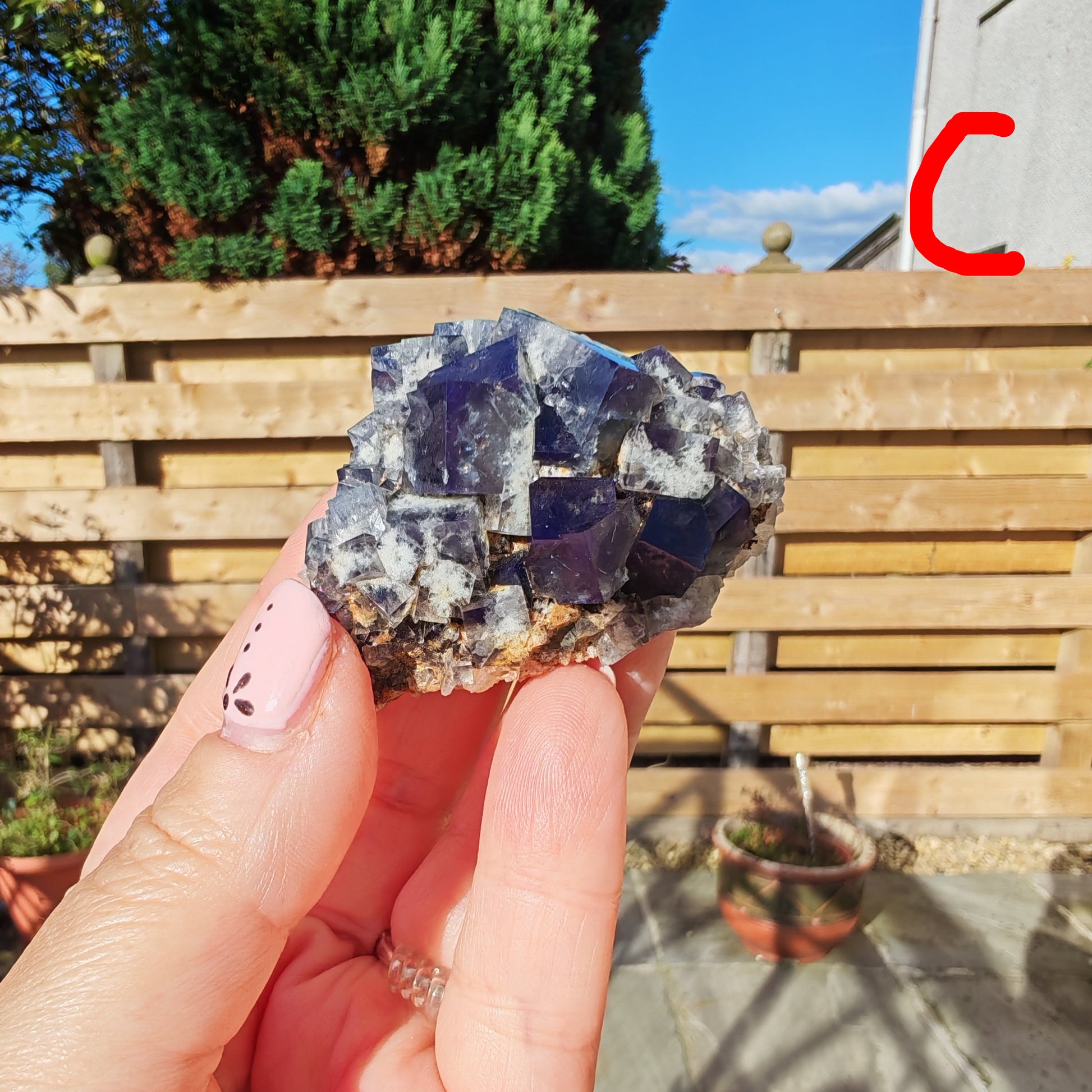 Yum Yum Pocket Fluorite UK Option C