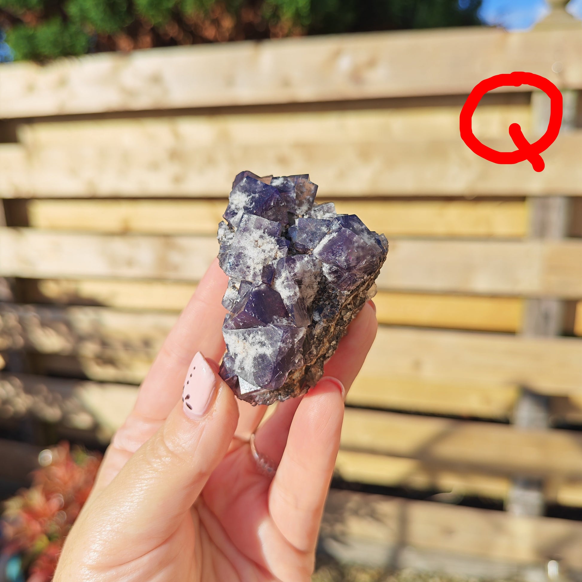 Yum Yum pocket Fluorite Option Q