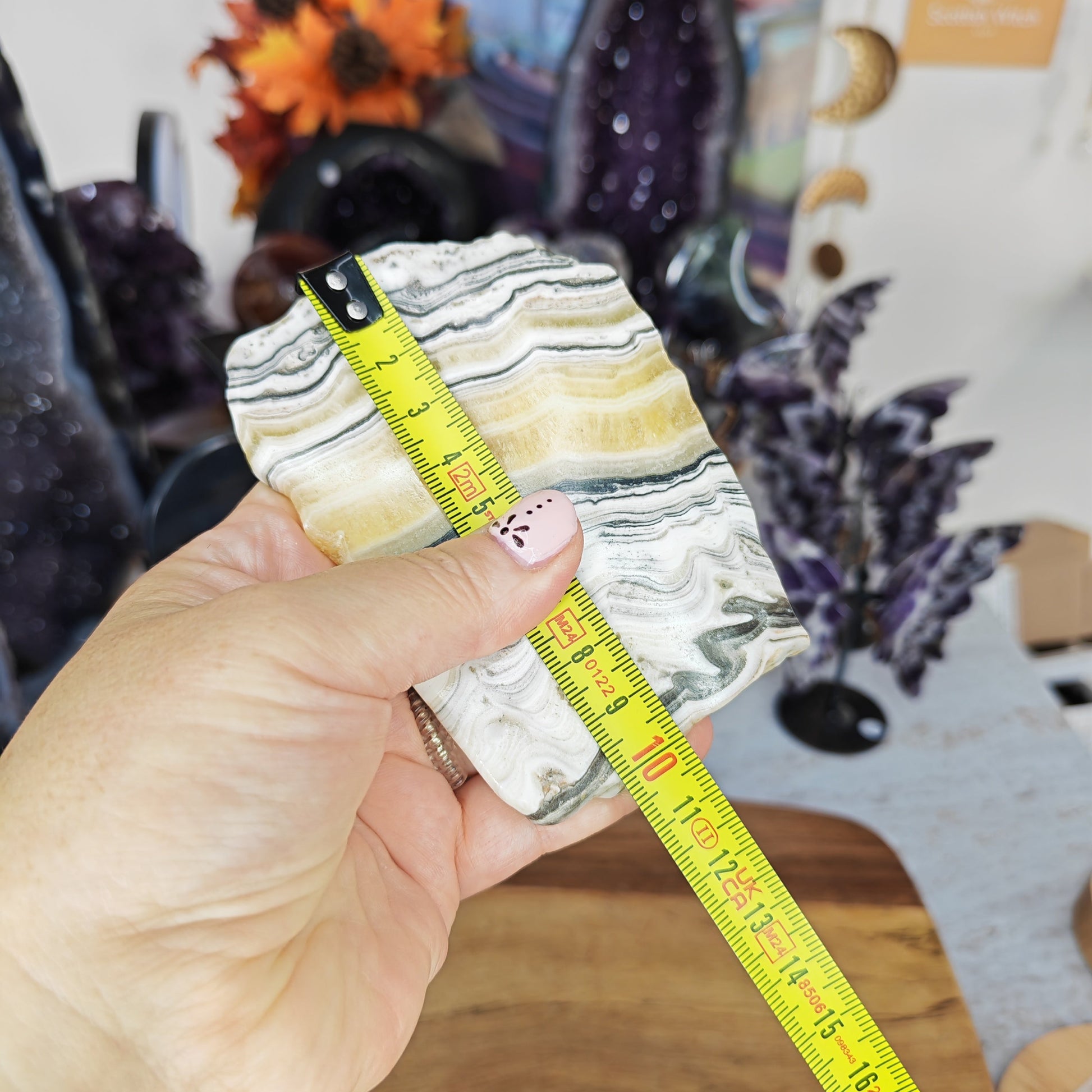 black and yellow banded Zebra Calcite Slice