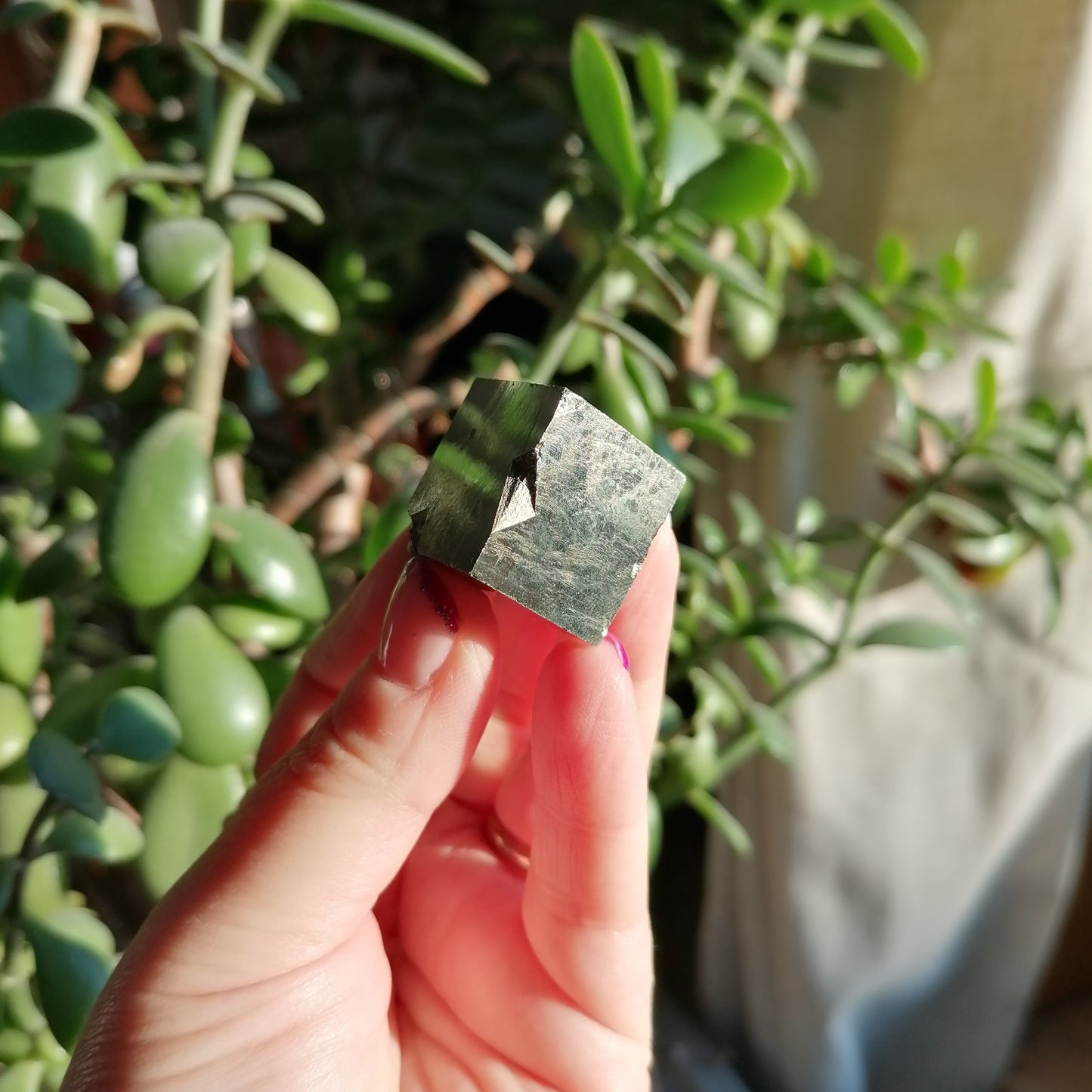 world famous golden pyrite cubes from navajun region northern spain