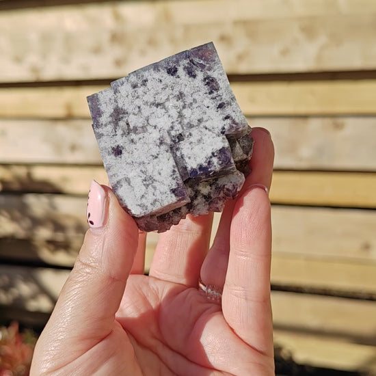 Yum Yum Pocket Fluorite Option T