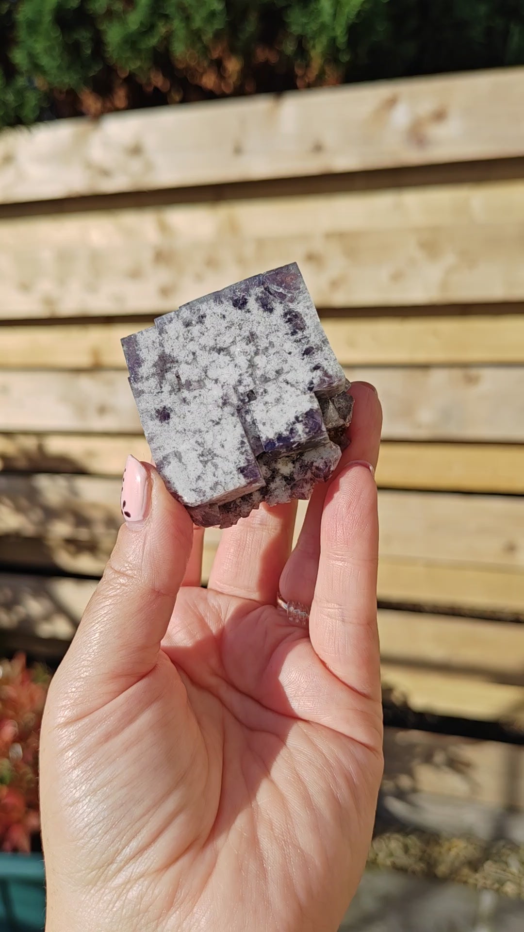 Yum Yum Pocket Fluorite Option T