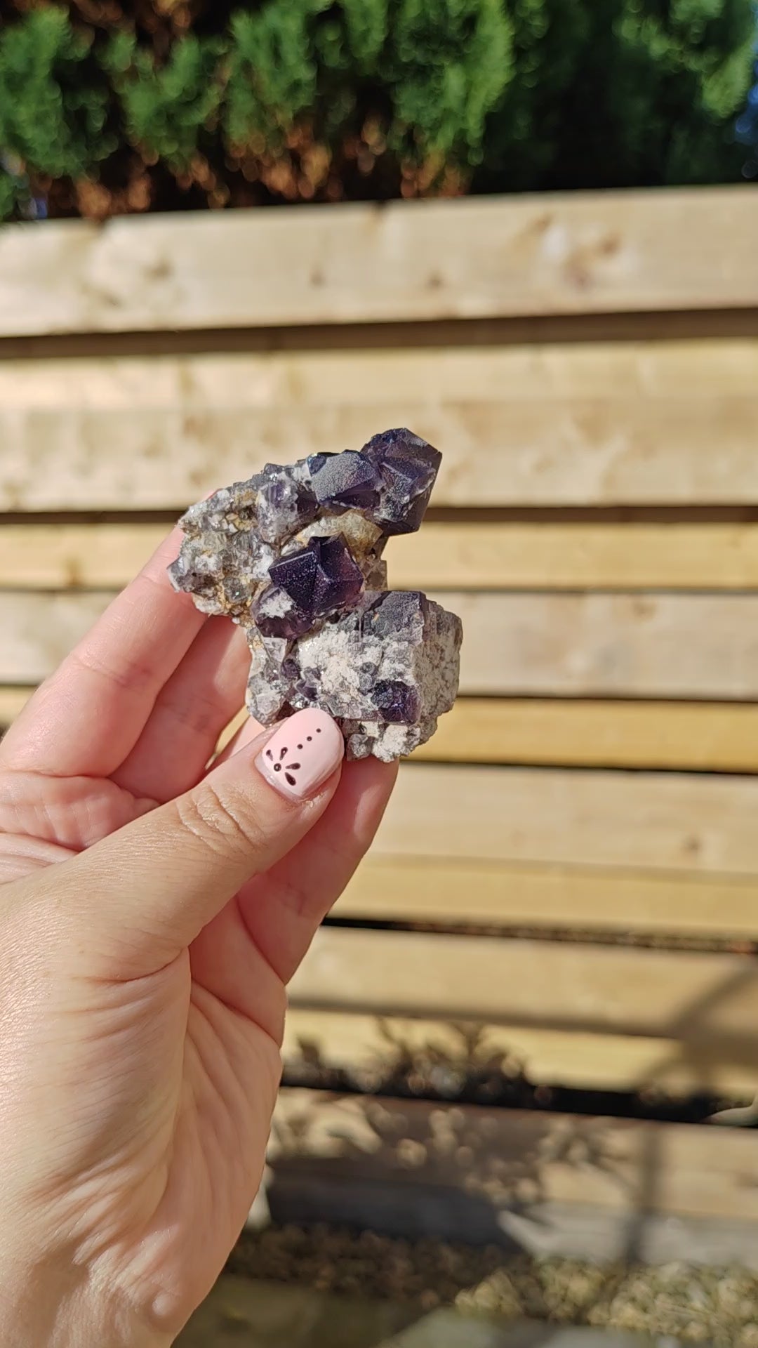 Yum Yum Pocket Fluorite Option P