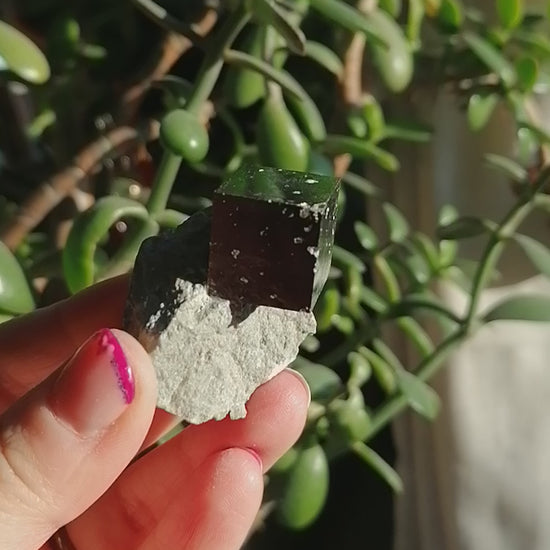 cubic pyrite on matrix from spain