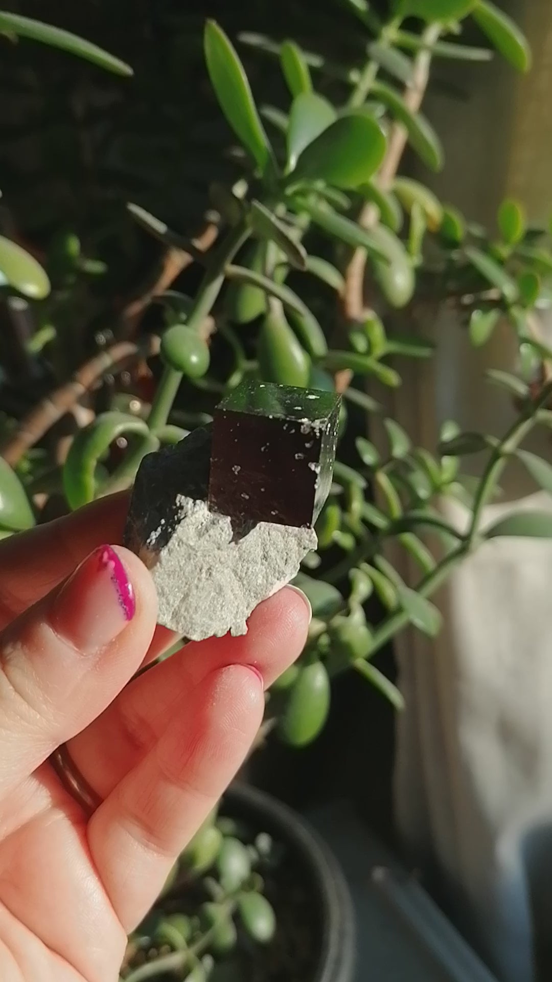 cubic pyrite on matrix from spain