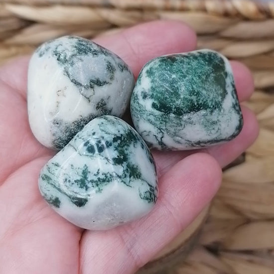 Green and white tree agate crystal tumbles