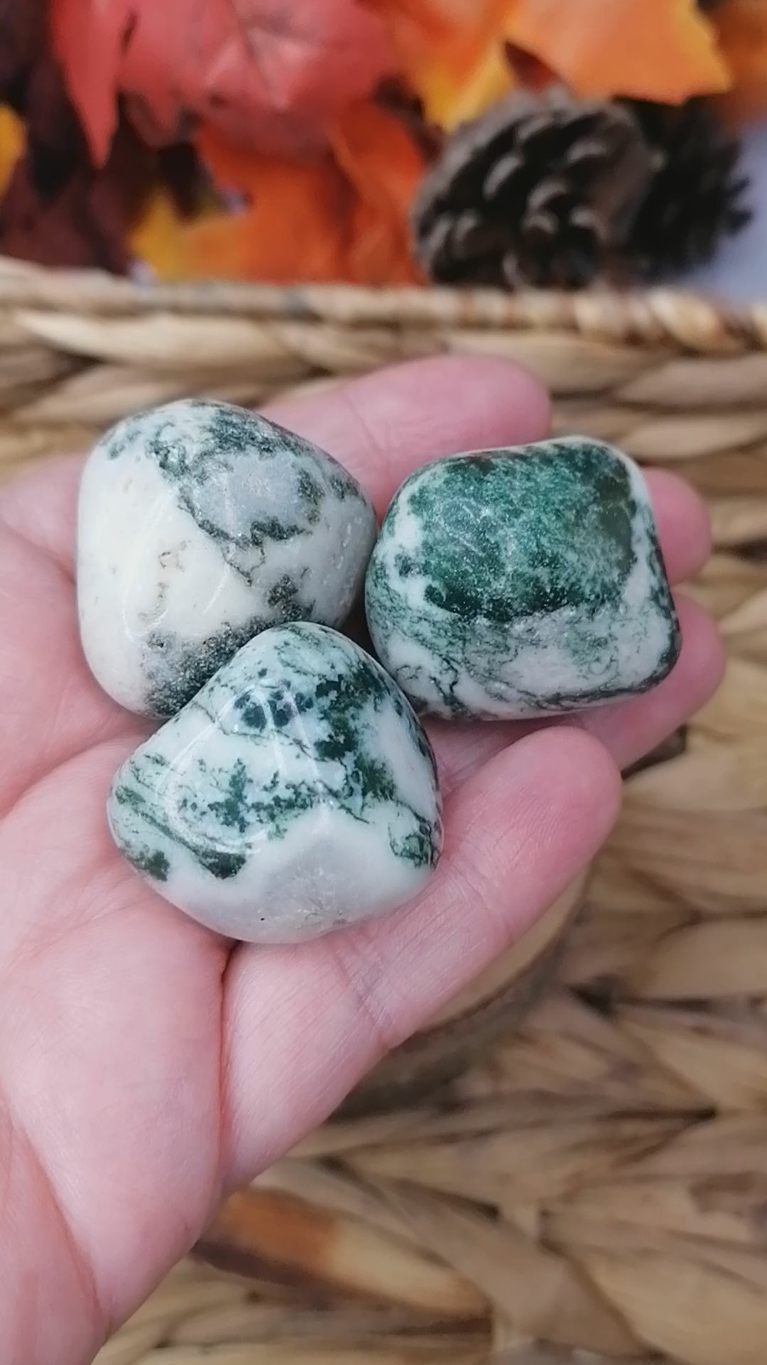 Green and white tree agate crystal tumbles