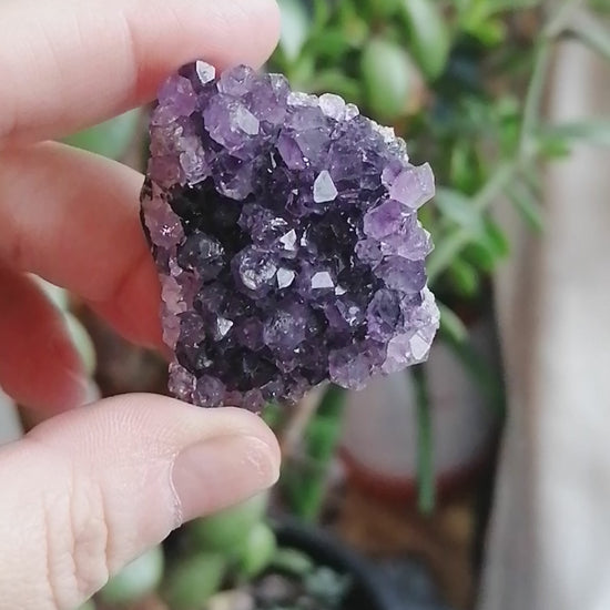 Dark Purple Amethyst Cluster