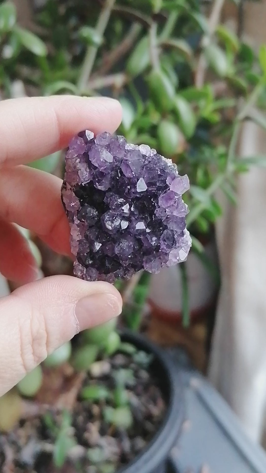 Dark Purple Amethyst Cluster