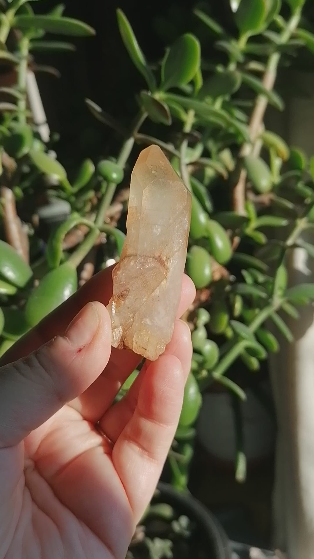 Natural citrine point option B