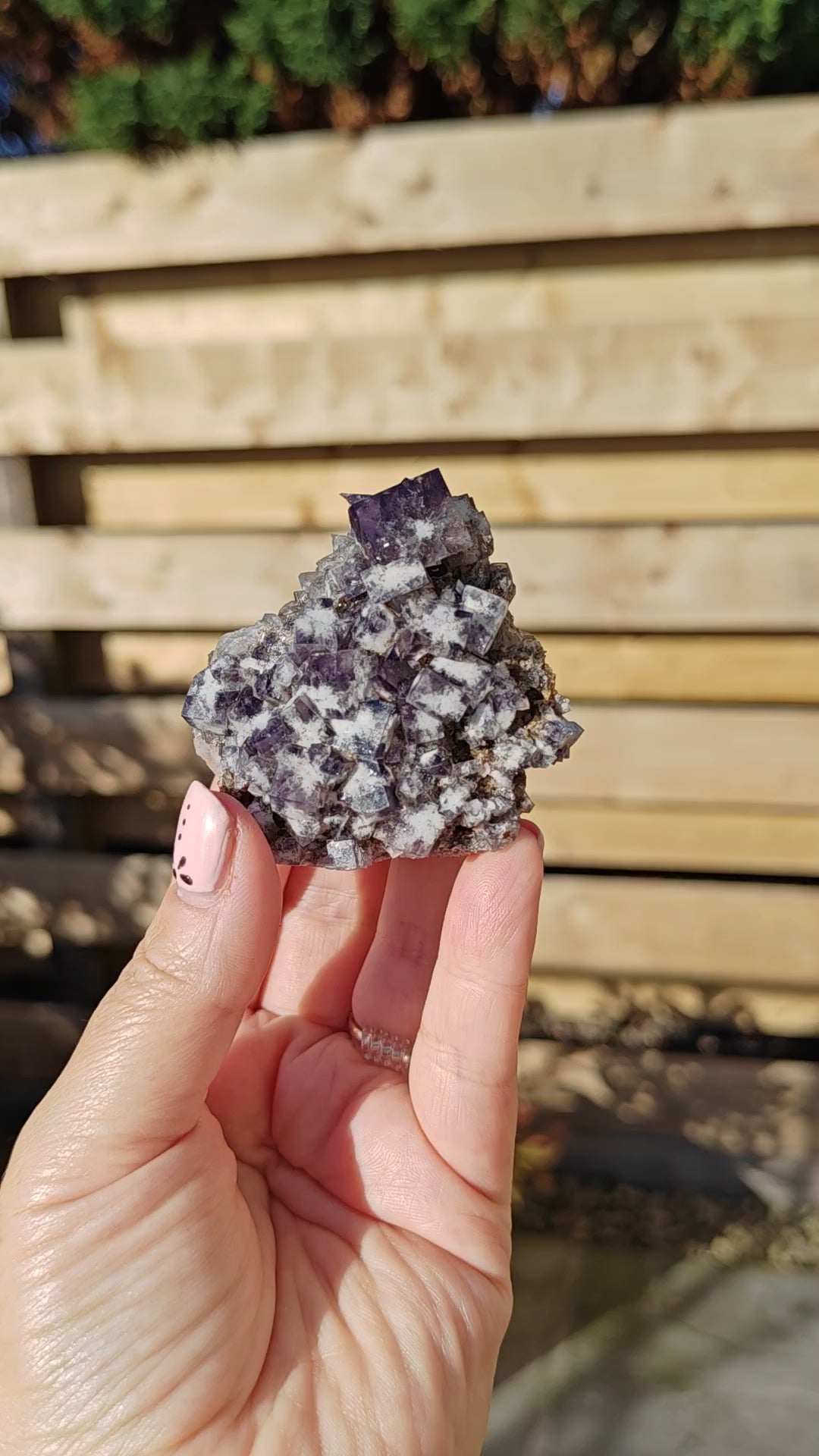 Yum Yum Fluorite Option I
