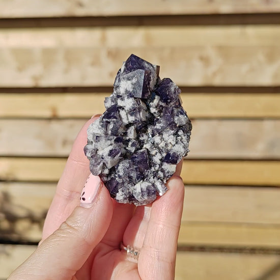 Yum Yum Pocket Fluorite Option G