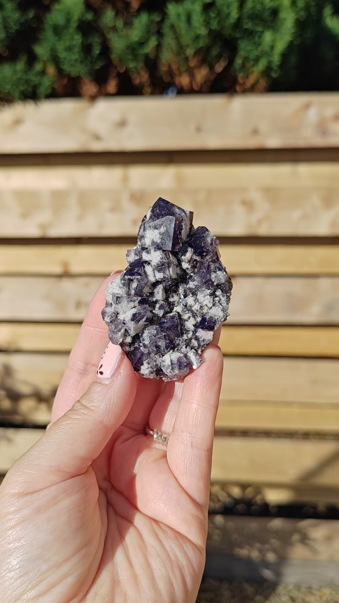 Yum Yum Pocket Fluorite Option G