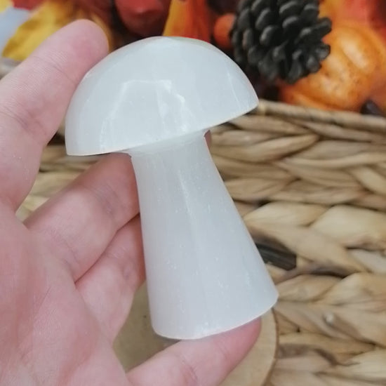 Selenite Mushroom