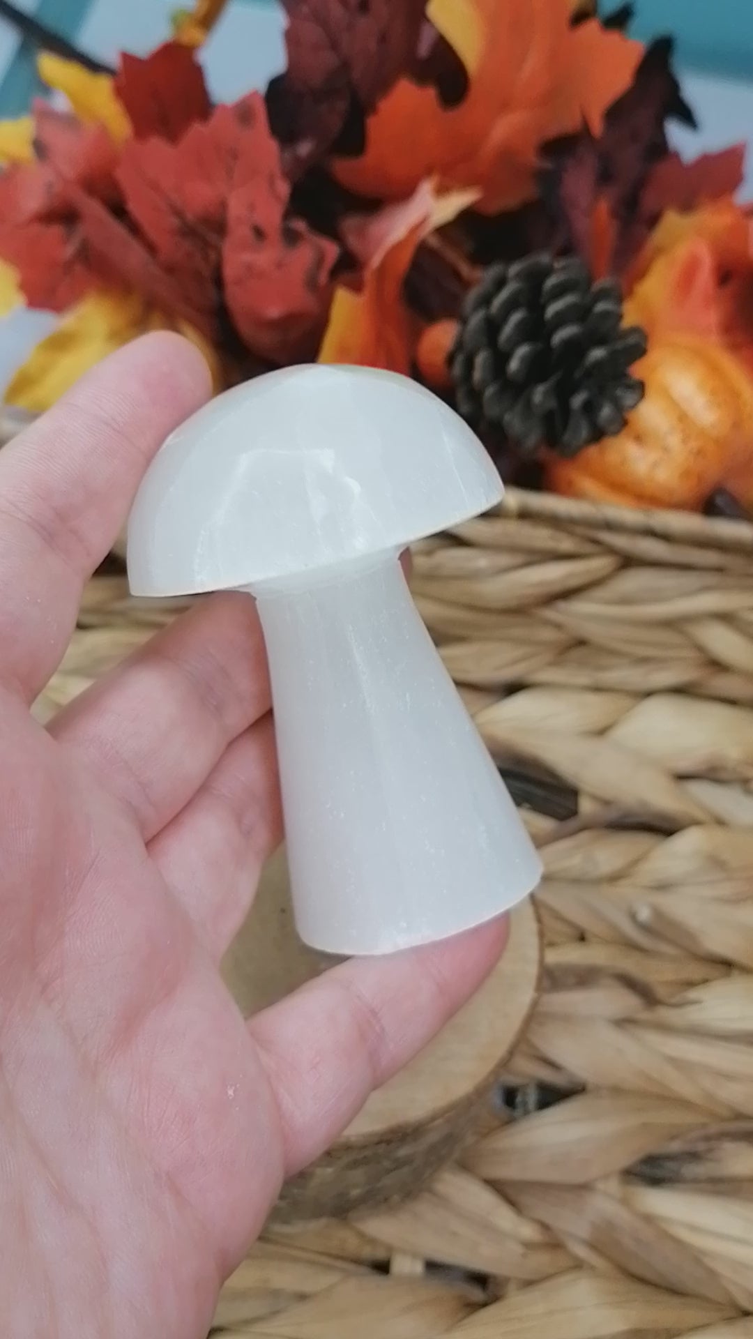 Selenite Mushroom