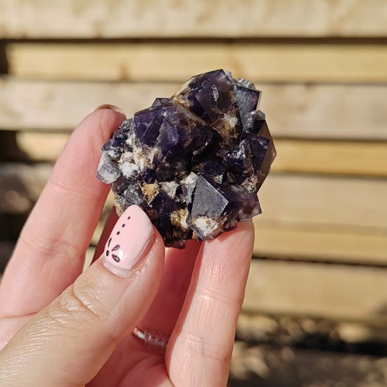 Yum Yum Pocket Fluorite Option F