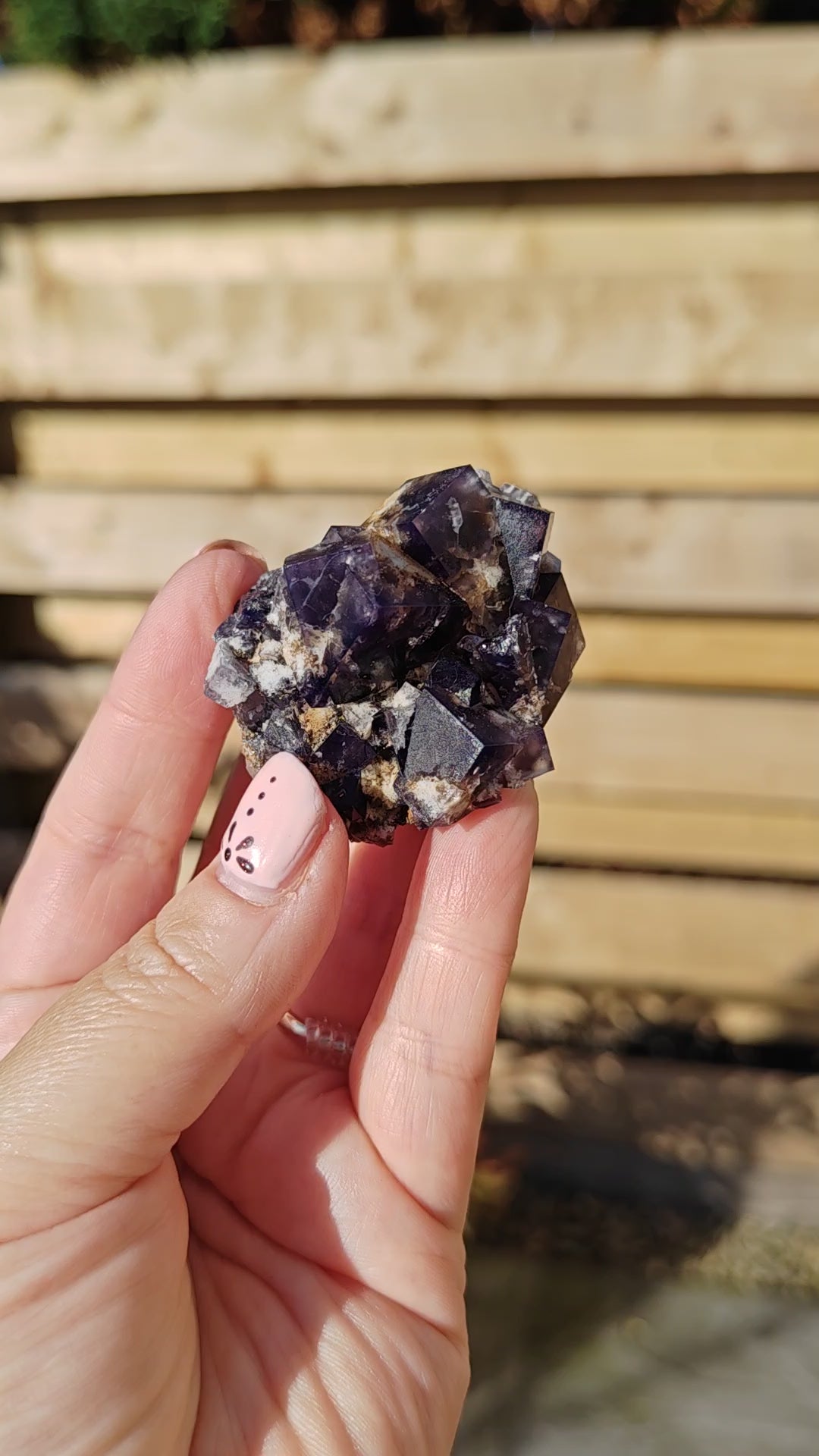 Yum Yum Pocket Fluorite Option F