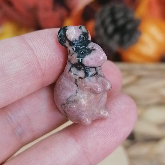 rhodonite rabbit