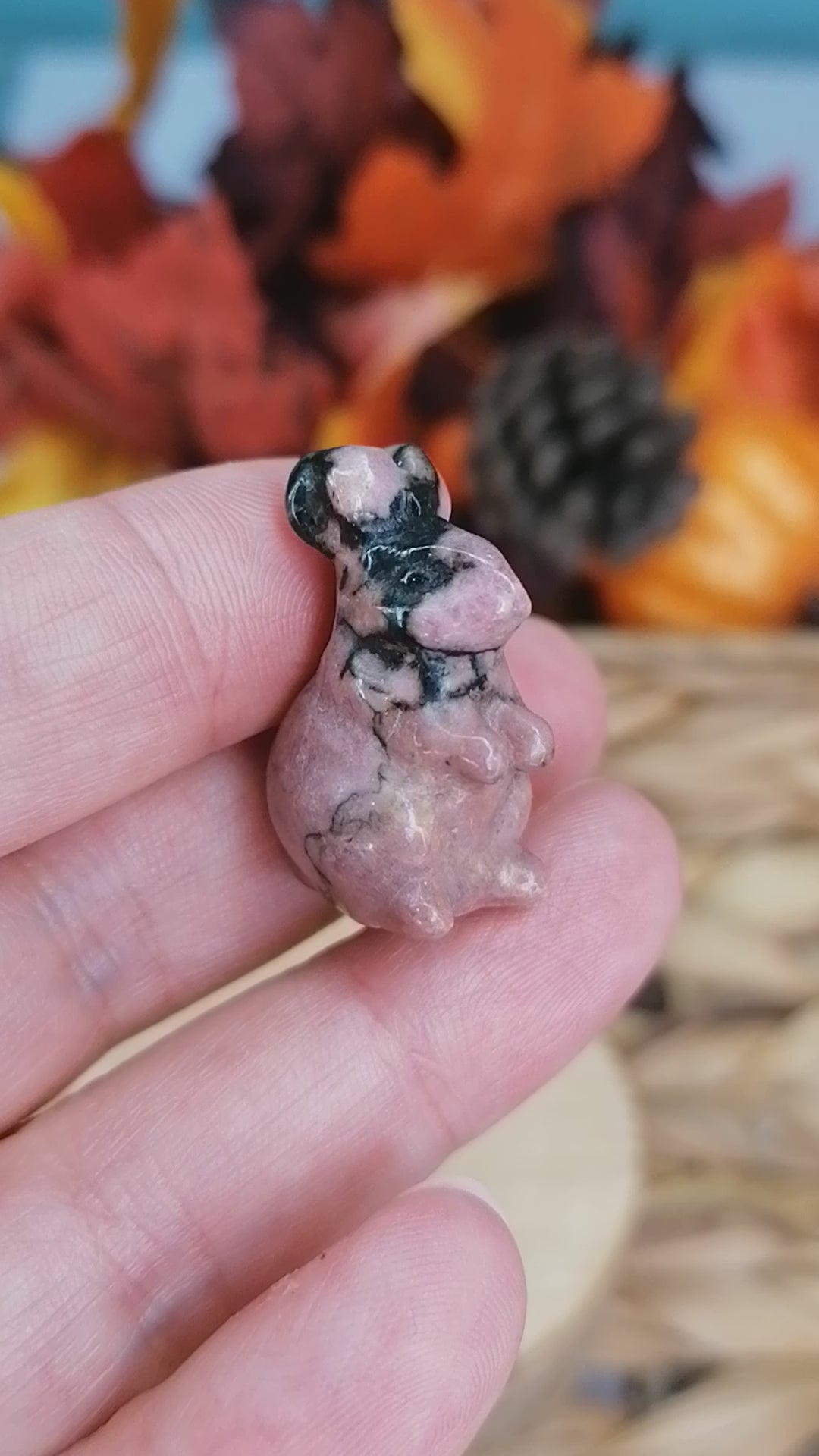 rhodonite rabbit