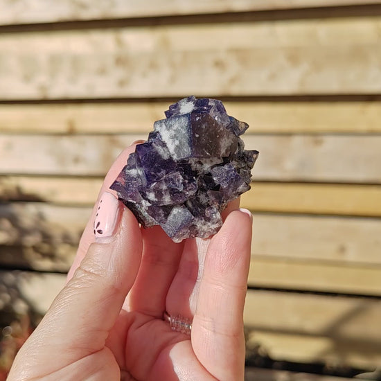 Yum Yum Pocket Fluorite Option N