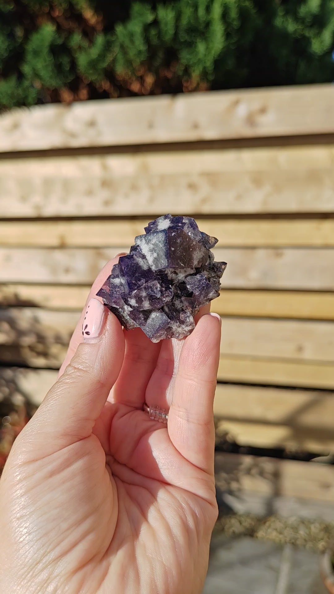 Yum Yum Pocket Fluorite Option N