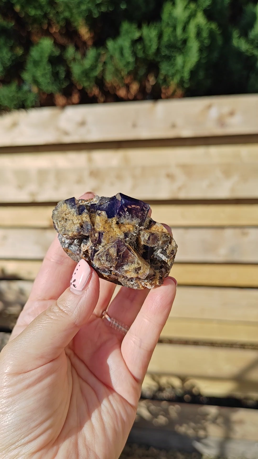 Yum Yum Pocket Fluorite Option K