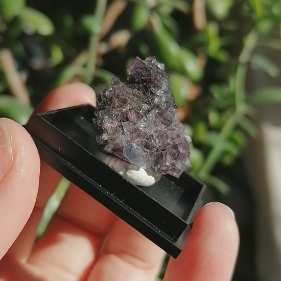 Purple Okorusu Fluorite