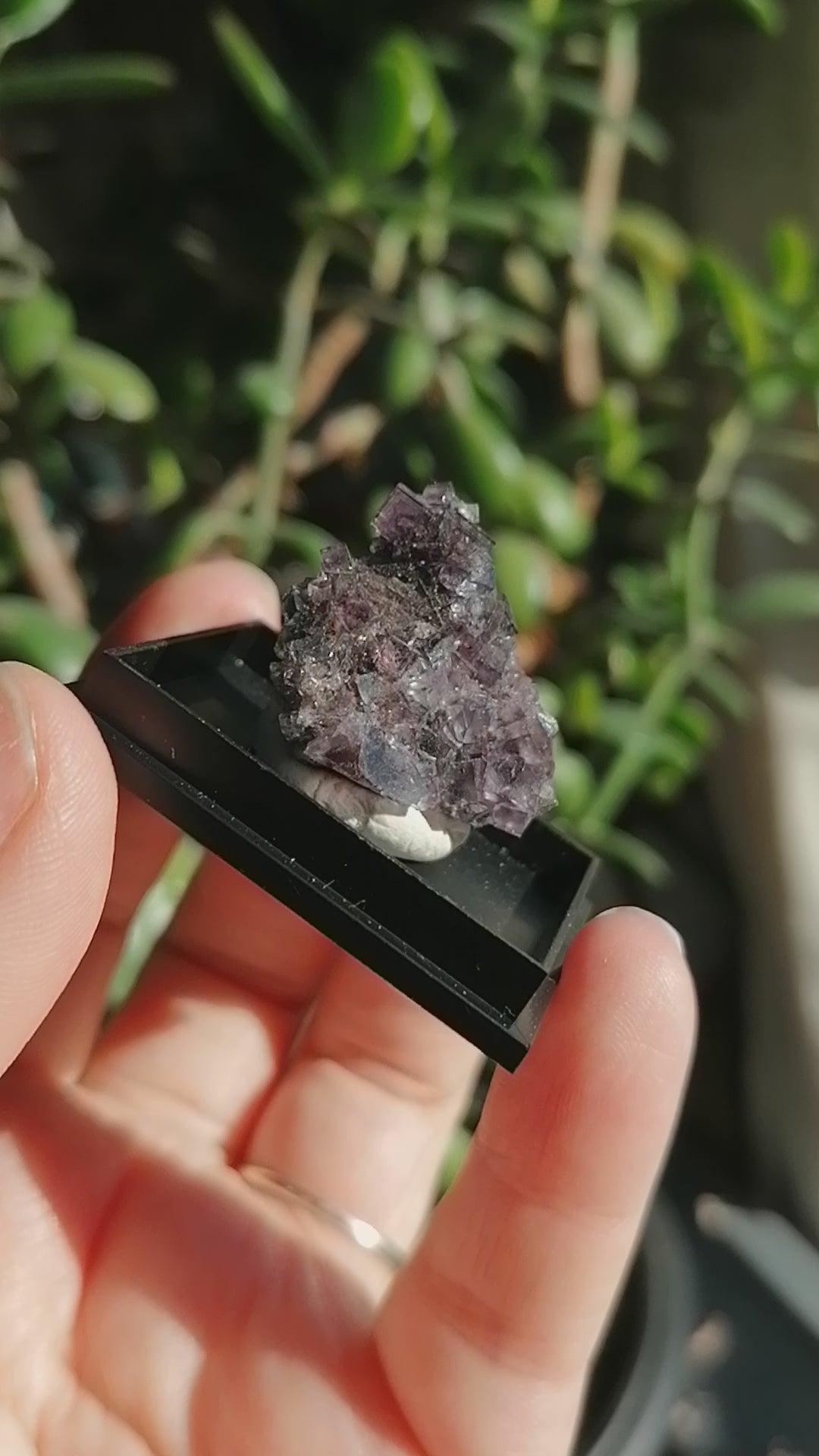 Purple Okorusu Fluorite