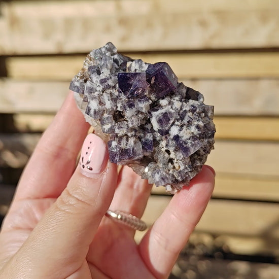 Yum Yum Pocket Fluorite Option J