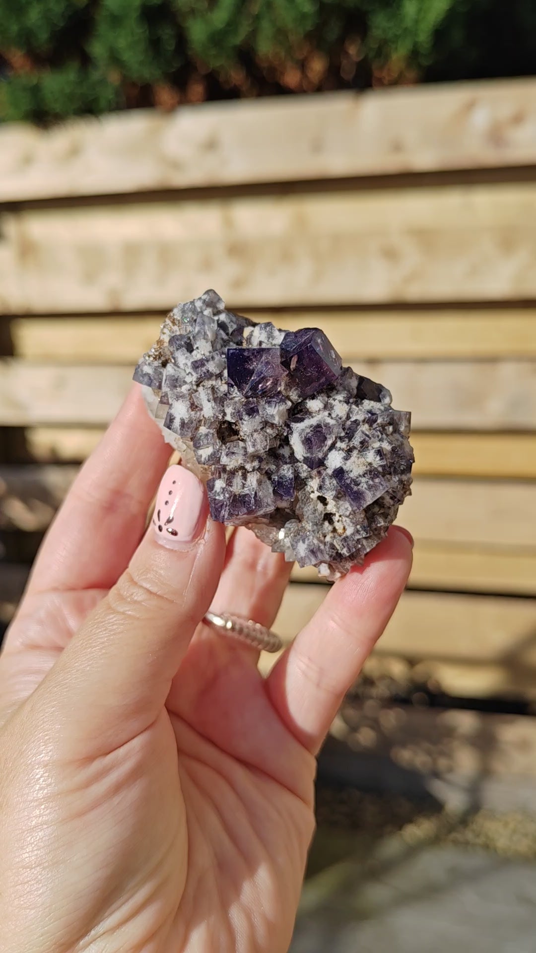 Yum Yum Pocket Fluorite Option J