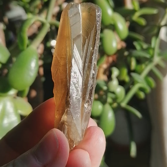 Natural Citrine Point Option A