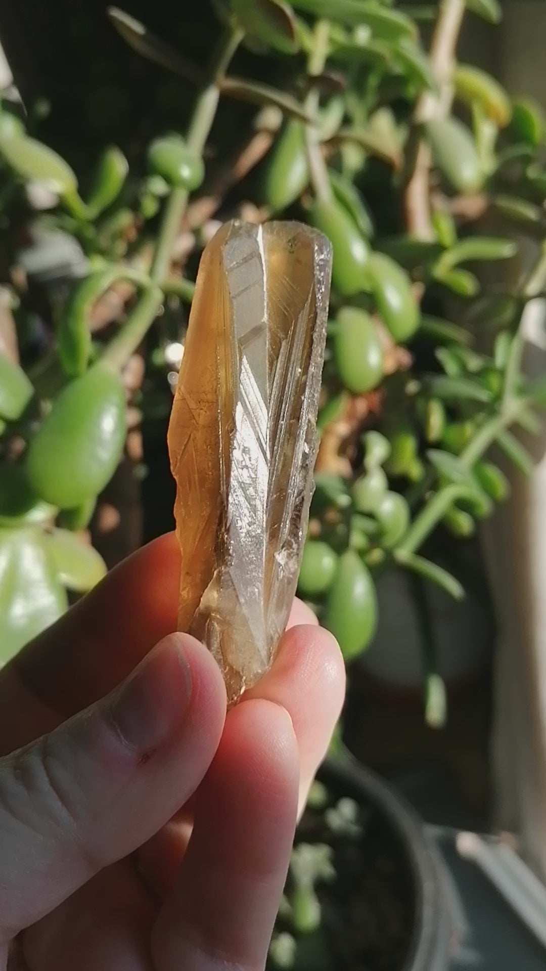 Natural Citrine Point Option A